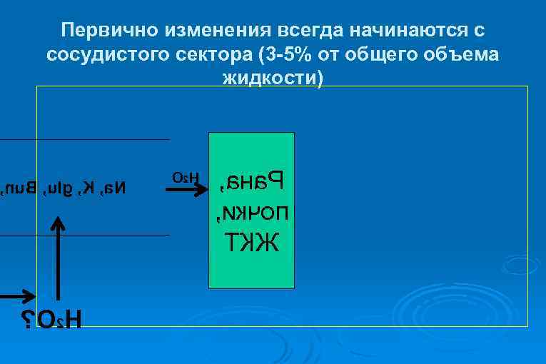 Первично изменения всегда начинаются с сосудистого сектора (3 -5% от общего объема жидкости) nu.