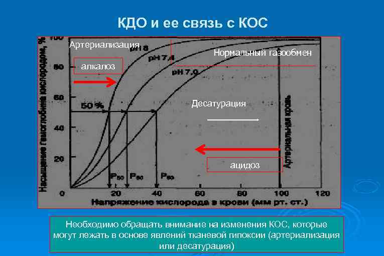 КДО и ее связь с КОС Артериализация Нормальный газообмен алкалоз Десатурация ацидоз Необходимо обращать