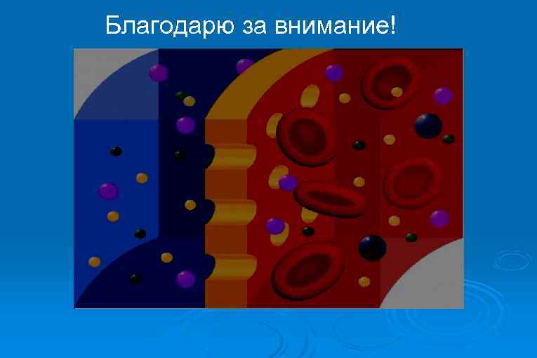 Благодарю за внимание! 