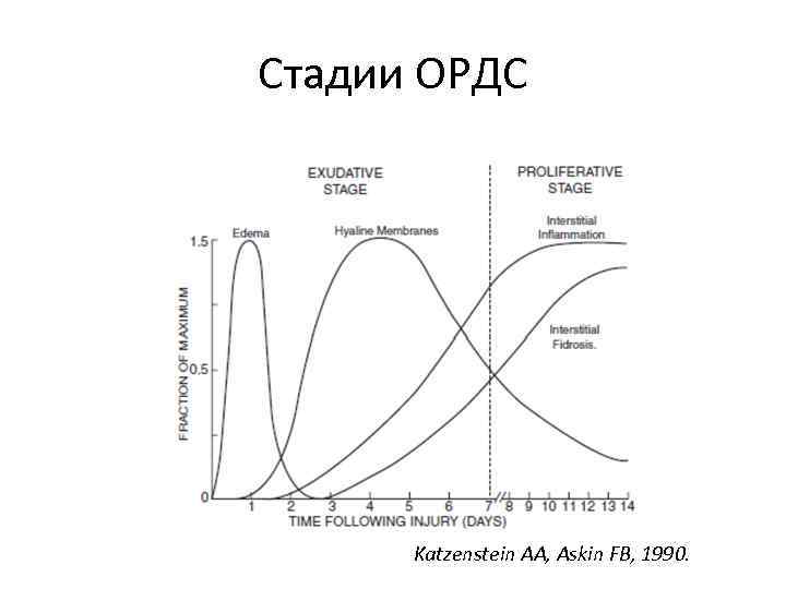 Стадии ОРДС Katzenstein AA, Askin FB, 1990. 