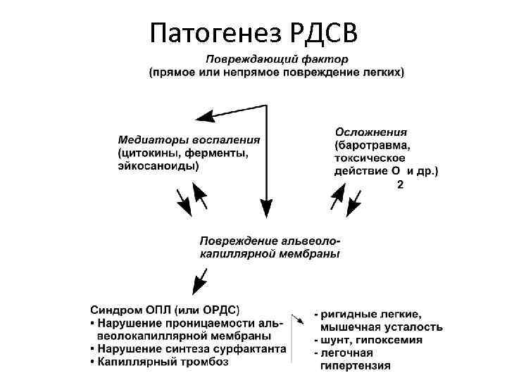 Патогенез РДСВ 