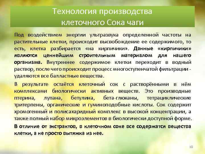 Технология производства клеточного Сока чаги Под воздействием энергии ультразвука определенной частоты на растительные клетки,