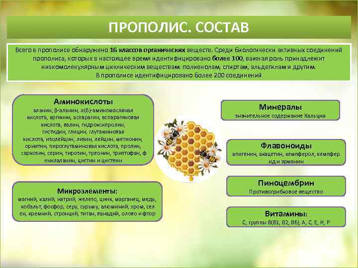 ПРОПОЛИС. СОСТАВ Всего в прополисе обнаружено 16 классов органических веществ. Среди биологически активных соединений