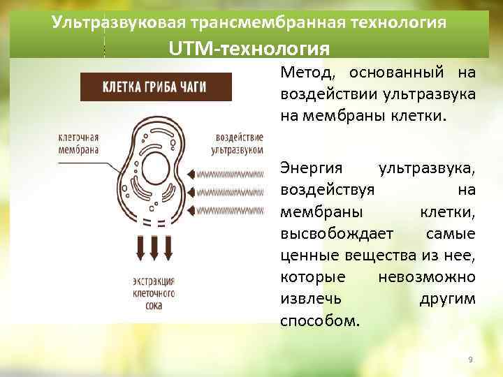 Ультразвуковая трансмембранная технология UTM-технология Метод, основанный на воздействии ультразвука на мембраны клетки. Энергия ультразвука,