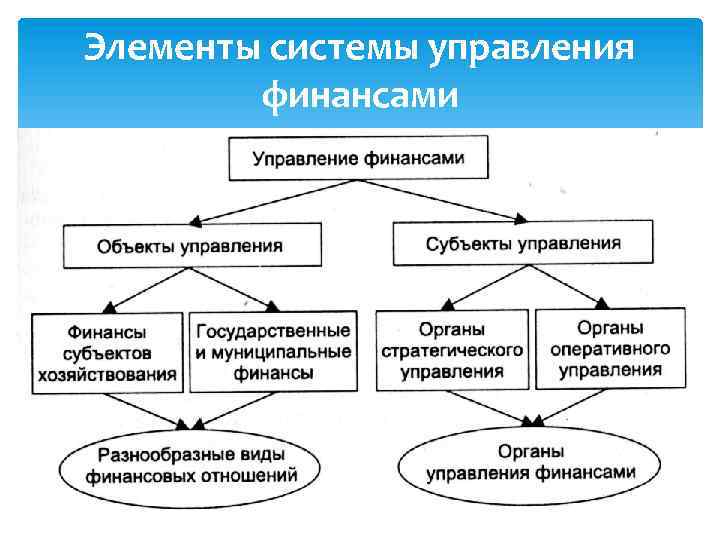 Элементы системы управления финансами 