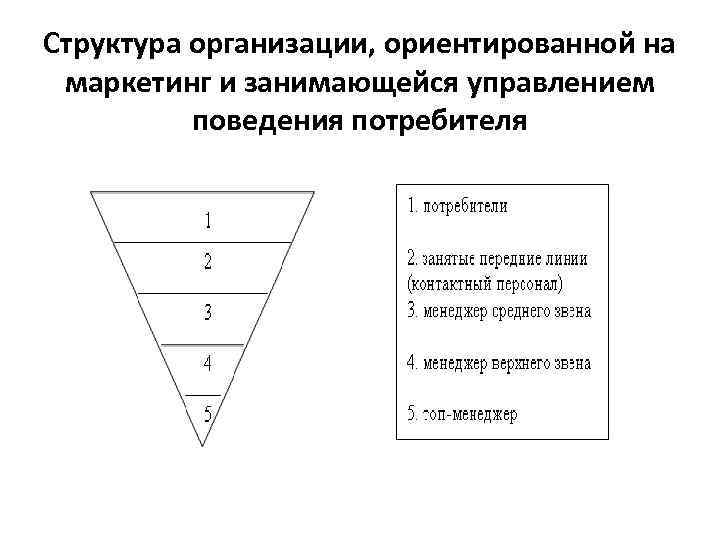 Структура организации, ориентированной на маркетинг и занимающейся управлением поведения потребителя 