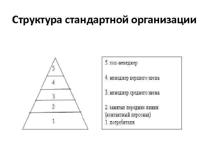 Структура стандартной организации 