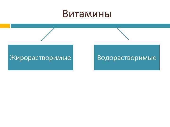 Витамины Жирорастворимые Водорастворимые 