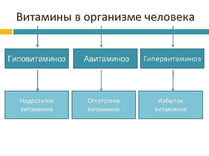 Витамины в организме человека Гиповитаминоз Авитаминоз Гипервитаминоз Недостаток витаминов Отсутствие витаминов Избыток витаминов 