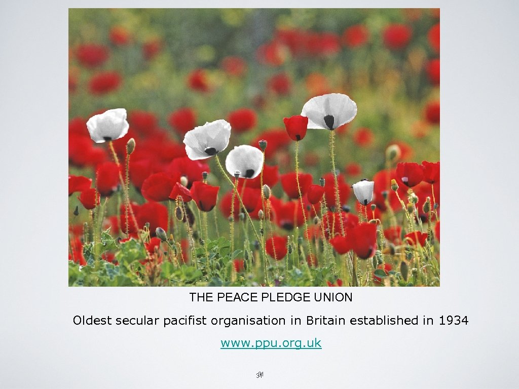 THE PEACE PLEDGE UNION Oldest secular pacifist organisation in Britain established in 1934 www.