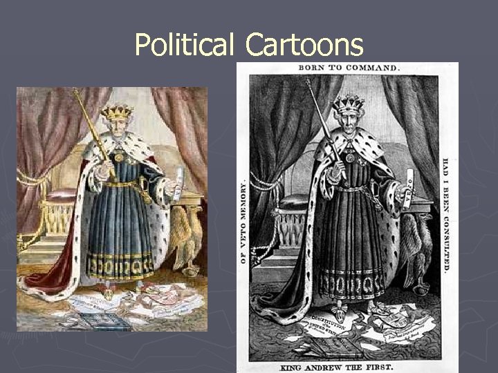 Political Cartoons 