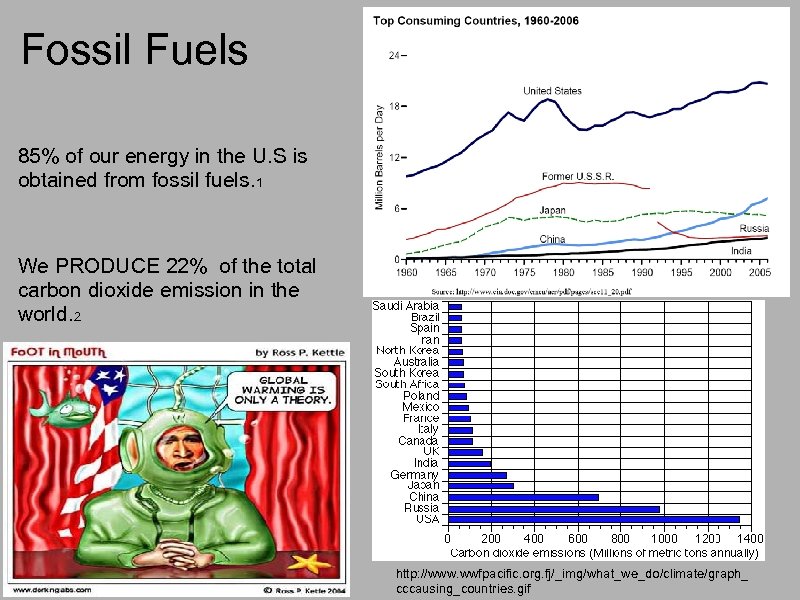 Fossil Fuels 85% of our energy in the U. S is obtained from fossil