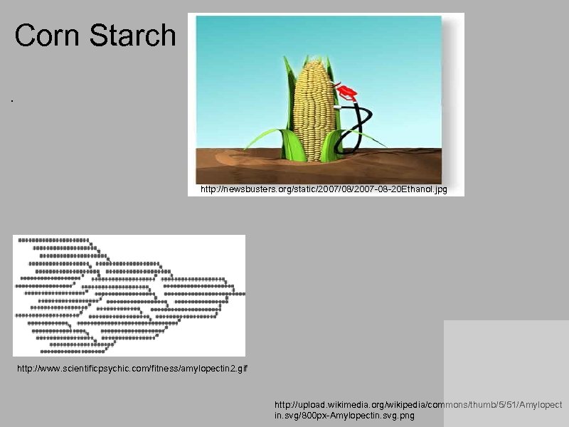 Corn Starch. http: //newsbusters. org/static/2007/08/2007 -08 -20 Ethanol. jpg http: //www. scientificpsychic. com/fitness/amylopectin 2.