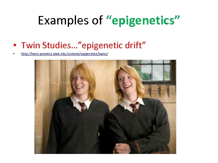 Examples of “epigenetics” • Twin Studies…”epigenetic drift” • http: //learn. genetics. utah. edu/content/epigenetics/twins/ 