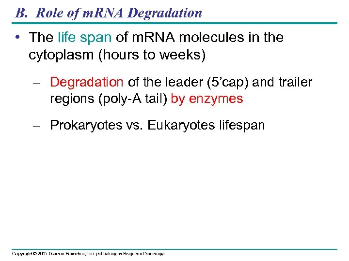 B. Role of m. RNA Degradation • The life span of m. RNA molecules