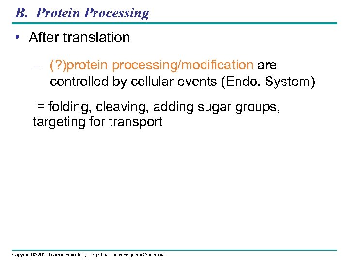 B. Protein Processing • After translation – (? )protein processing/modification are controlled by cellular
