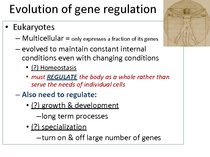 Evolution of gene regulation • Eukaryotes – Multicellular = only expresses a fraction of