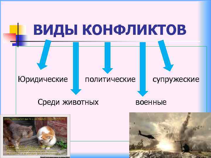 ВИДЫ КОНФЛИКТОВ Юридические политические Среди животных супружеские военные 