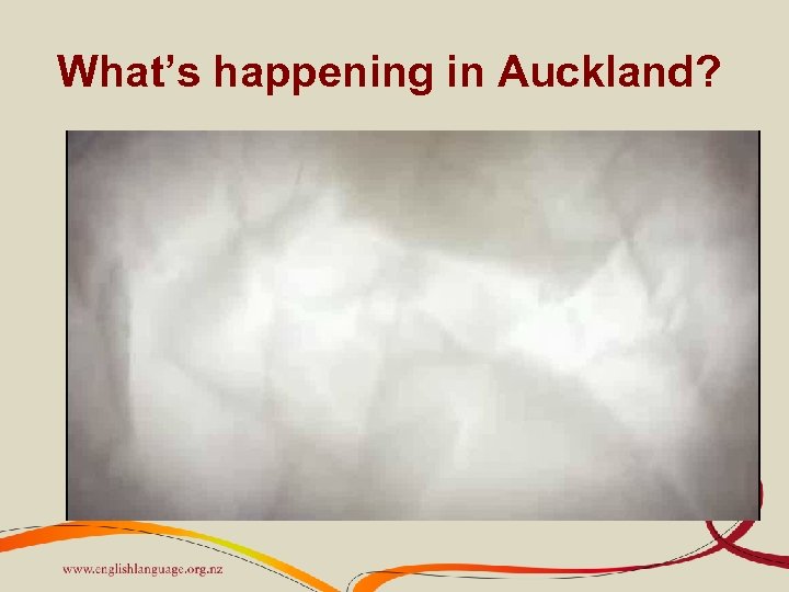 What’s happening in Auckland? 
