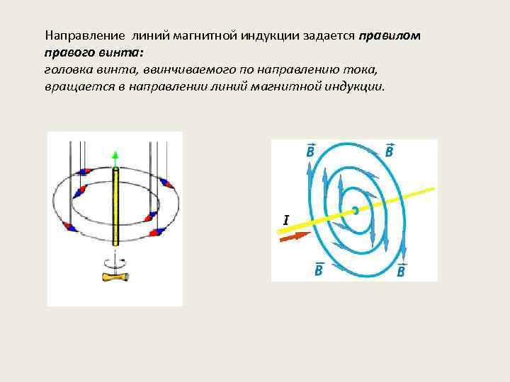 На рисунках изображены постоянные магниты с указанием линий магнитной индукции полей создаваемых ими