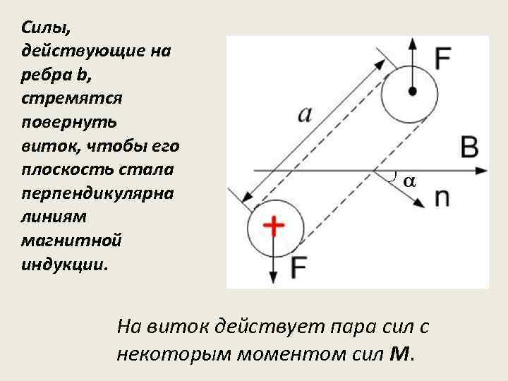 Силы, действующие на ребра b, стремятся повернуть виток, чтобы его плоскость стала перпендикулярна линиям