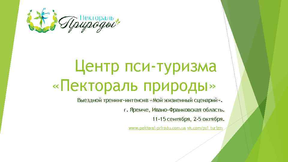 Центр пси-туризма «Пектораль природы» Выездной тренинг-интенсив «Мой жизненный сценарий» . г. Яремче, Ивано-Франковская область.