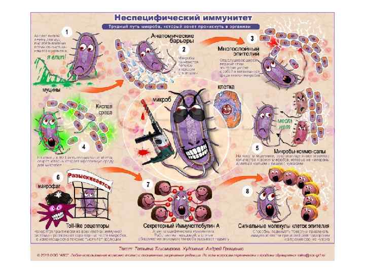 Влияние ат на видовой иммунитет