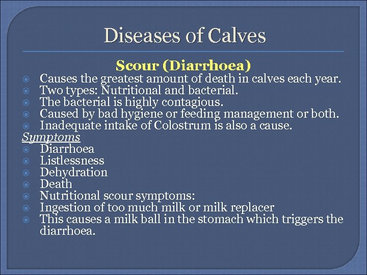Diseases of Calves Scour (Diarrhoea) Causes the greatest amount of death in calves each