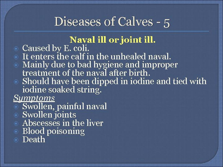 Diseases of Calves - 5 Naval ill or joint ill. Caused by E. coli.