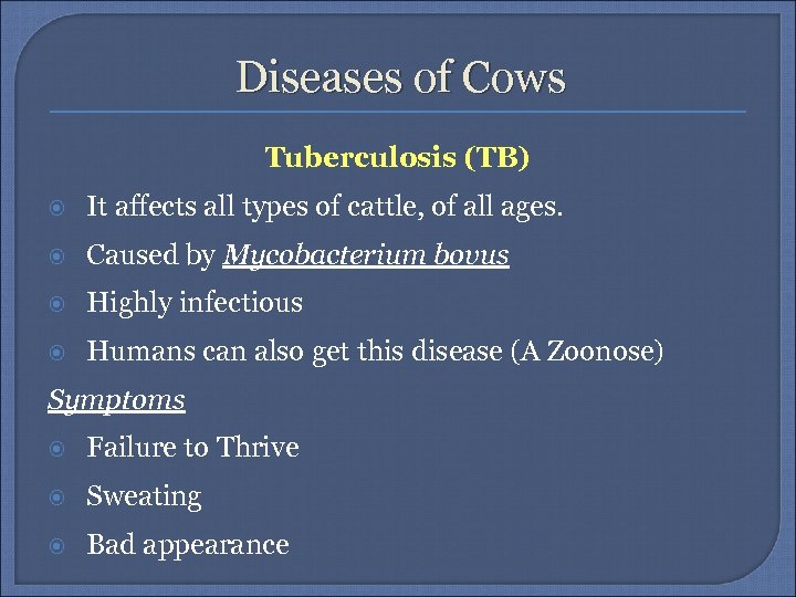 Diseases of Cows Tuberculosis (TB) It affects all types of cattle, of all ages.