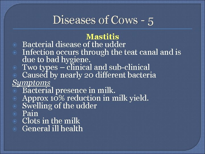 Diseases of Cows - 5 Mastitis Bacterial disease of the udder Infection occurs through