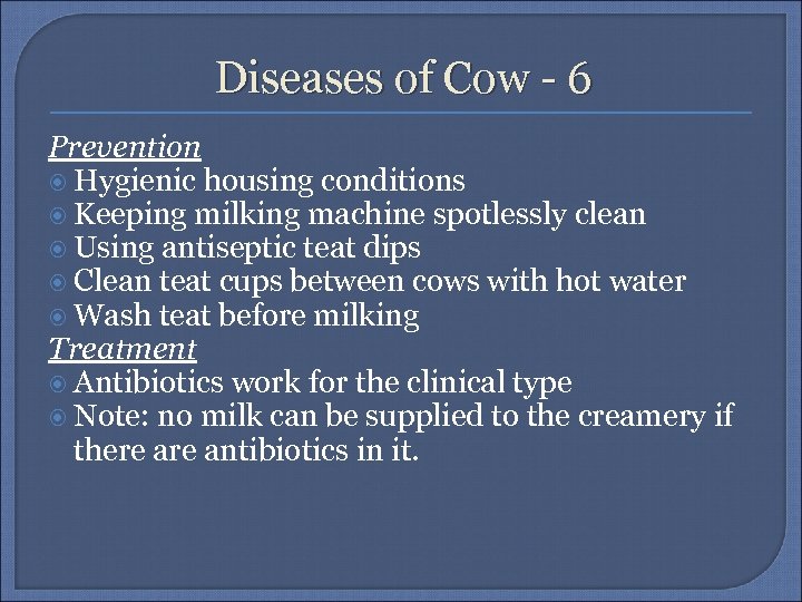 Diseases of Cow - 6 Prevention Hygienic housing conditions Keeping milking machine spotlessly clean