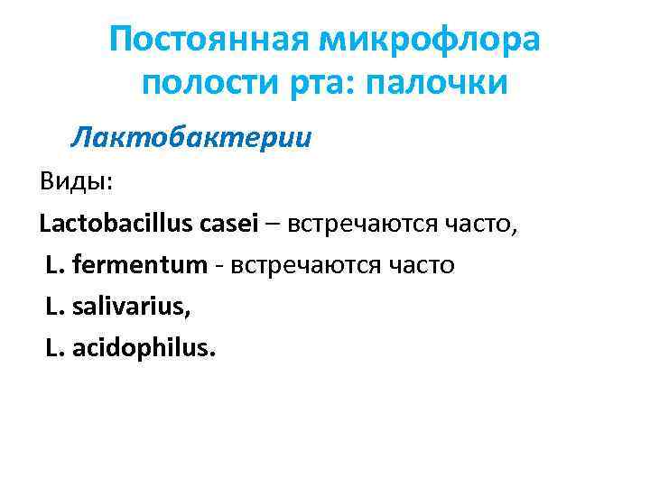 Постоянная микрофлора полости рта: палочки Лактобактерии Виды: Lactobacillus casei – встречаются часто, L. fermentum