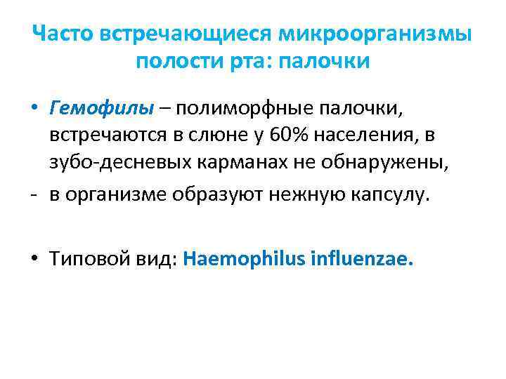 Часто встречающиеся микроорганизмы полости рта: палочки • Гемофилы – полиморфные палочки, встречаются в слюне