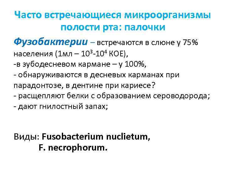 Часто встречающиеся микроорганизмы полости рта: палочки Фузобактерии – встречаются в слюне у 75% населения