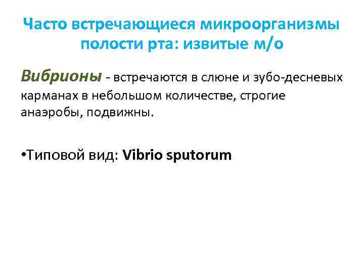 Часто встречающиеся микроорганизмы полости рта: извитые м/о Вибрионы - встречаются в слюне и зубо-десневых