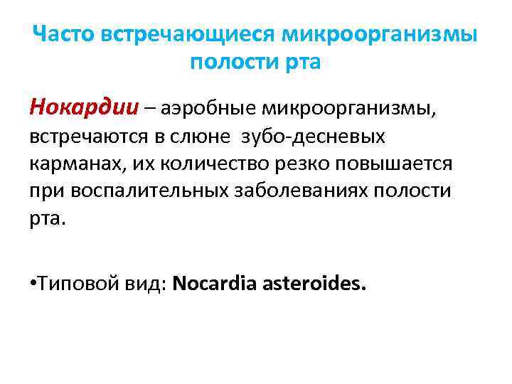 Часто встречающиеся микроорганизмы полости рта Нокардии – аэробные микроорганизмы, встречаются в слюне зубо-десневых карманах,