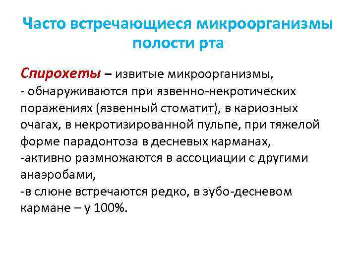 Часто встречающиеся микроорганизмы полости рта Спирохеты – извитые микроорганизмы, - обнаруживаются при язвенно-некротических поражениях