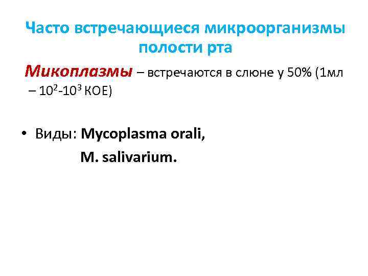 Часто встречающиеся микроорганизмы полости рта Микоплазмы – встречаются в слюне у 50% (1 мл