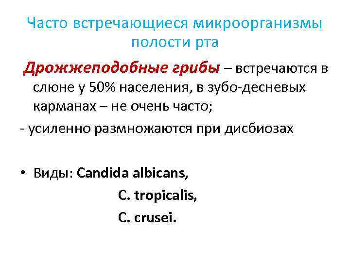 Часто встречающиеся микроорганизмы полости рта Дрожжеподобные грибы – встречаются в слюне у 50% населения,