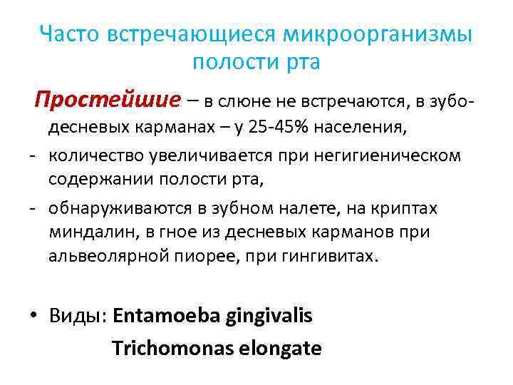 Часто встречающиеся микроорганизмы полости рта Простейшие – в слюне не встречаются, в зубодесневых карманах