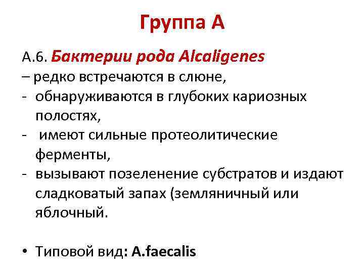 Группа А А. 6. Бактерии рода Alcaligenes – редко встречаются в слюне, - обнаруживаются