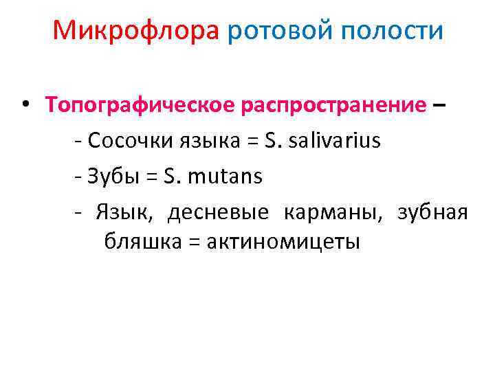 Микрофлора ротовой полости • Топографическое распространение – - Сосочки языка = S. salivarius -