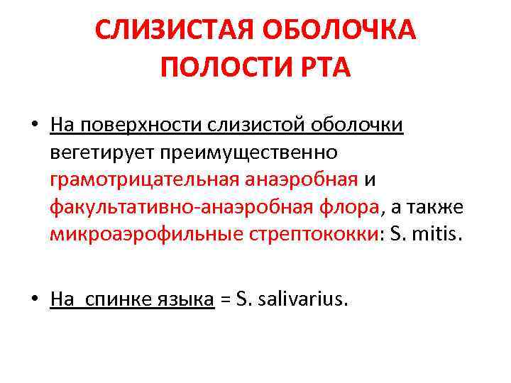 СЛИЗИСТАЯ ОБОЛОЧКА ПОЛОСТИ РТА • На поверхности слизистой оболочки вегетирует преимущественно грамотрицательная анаэробная и