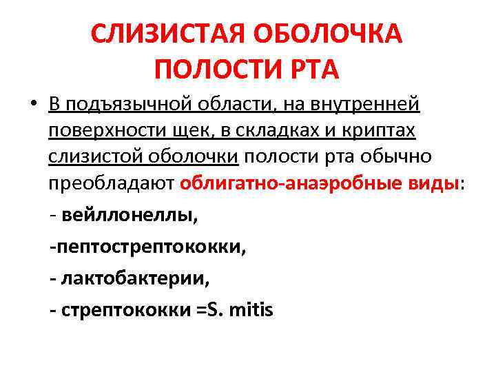 СЛИЗИСТАЯ ОБОЛОЧКА ПОЛОСТИ РТА • В подъязычной области, на внутренней поверхности щек, в складках