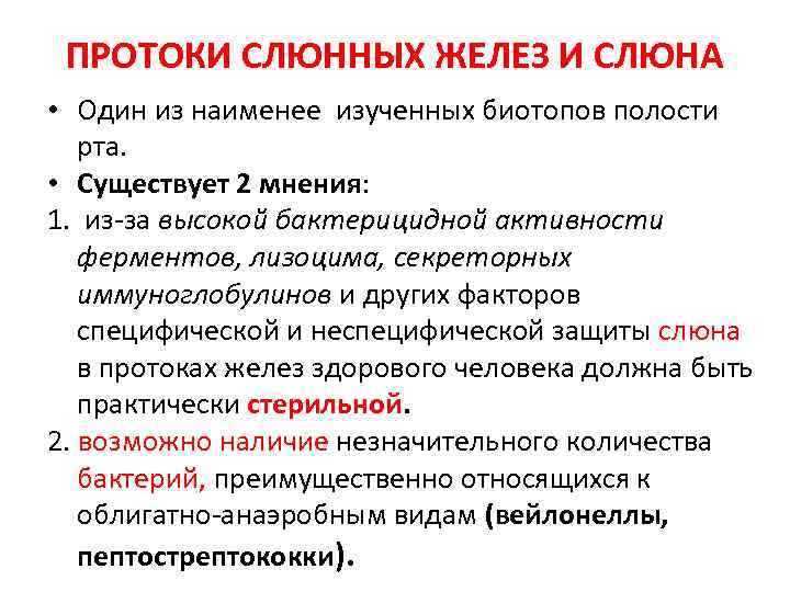 ПРОТОКИ СЛЮННЫХ ЖЕЛЕЗ И СЛЮНА • Один из наименее изученных биотопов полости рта. •