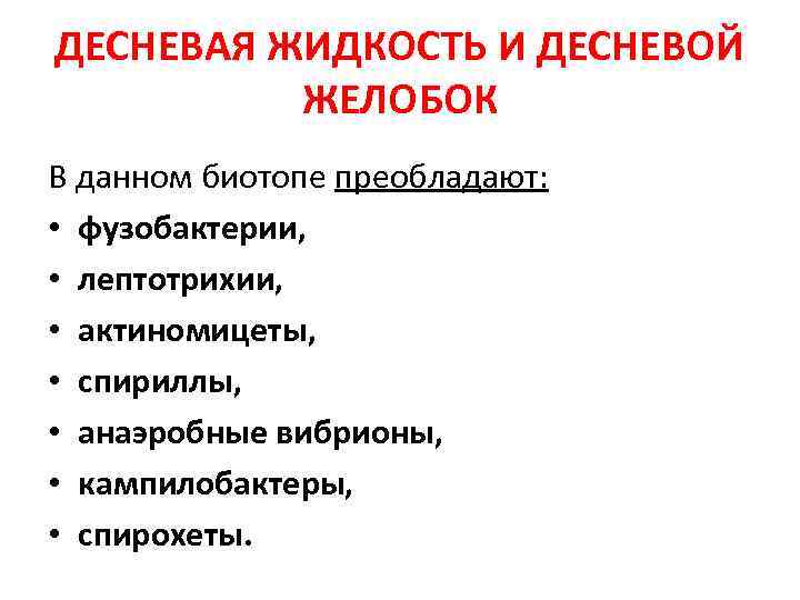 ДЕСНЕВАЯ ЖИДКОСТЬ И ДЕСНЕВОЙ ЖЕЛОБОК В данном биотопе преобладают: • фузобактерии, • лептотрихии, •