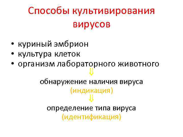 Способы культивирования вирусов • куриный эмбрион • культура клеток • организм лабораторного животного обнаружение