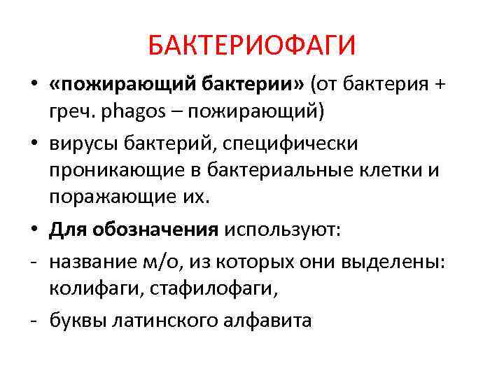 БАКТЕРИОФАГИ • «пожирающий бактерии» (от бактерия + греч. phagos – пожирающий) • вирусы бактерий,