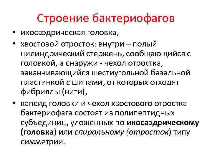 Строение бактериофагов • икосаэдрическая головка, • хвостовой отросток: внутри – полый цилиндрический стержень, сообщающийся